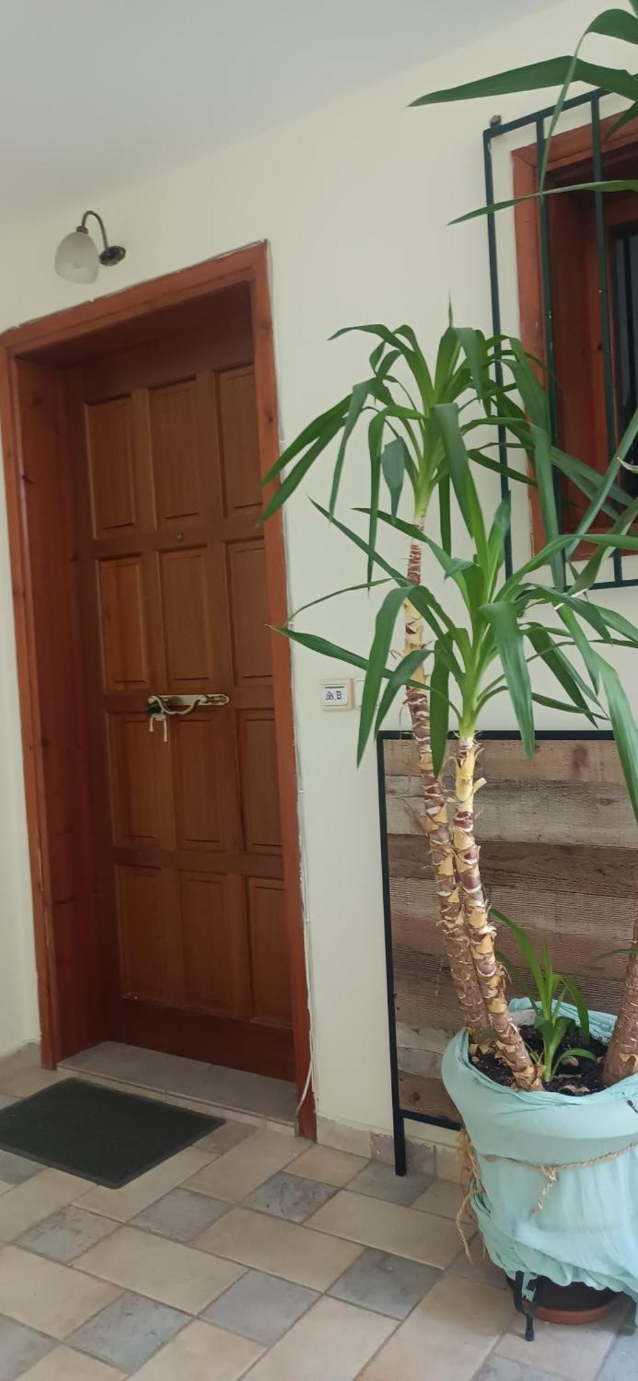 Στούντιο Κέντρου Άνω Πόλης Πάτρας Apartment Екстериор снимка